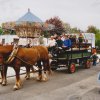 Herbtsmarkt 2002